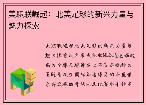 美职联崛起：北美足球的新兴力量与魅力探索